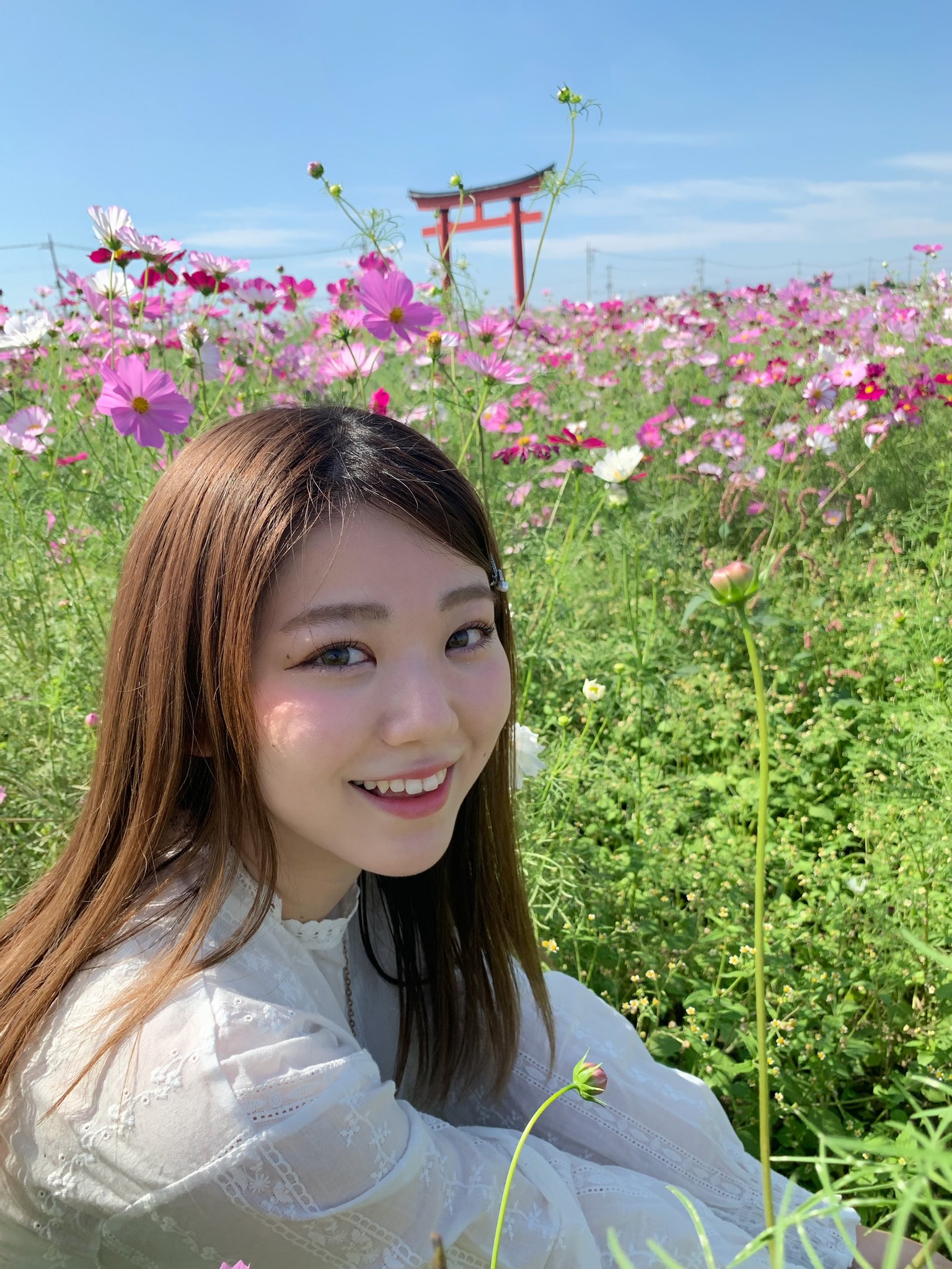 唐沢 風花 Fuuuairy Twitter