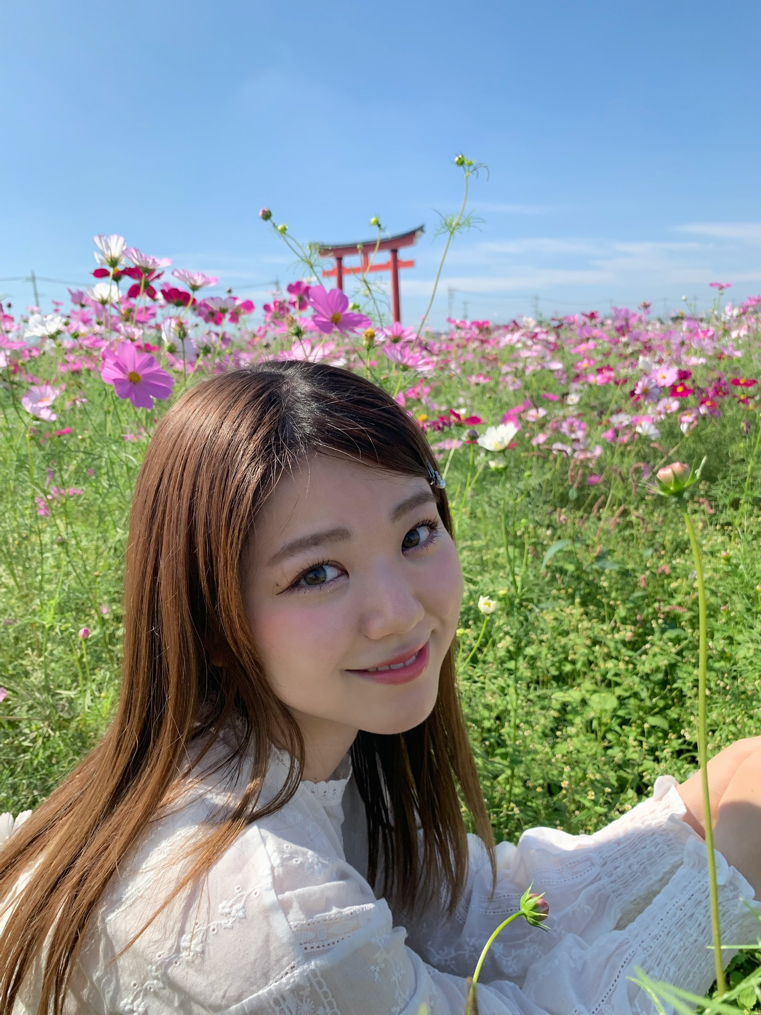 唐沢 風花 Fuuuairy Twitter