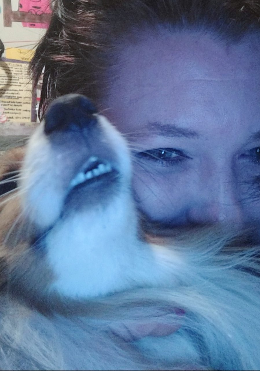 Happy Monday morning! My cuddle monkey is all smiles! #HappyMonday #SheltieSmile https://t.co/ZejwsZDUjn
