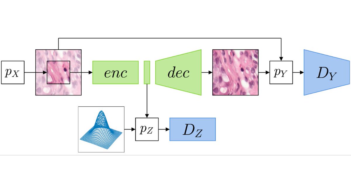 βiomathematics tweet media