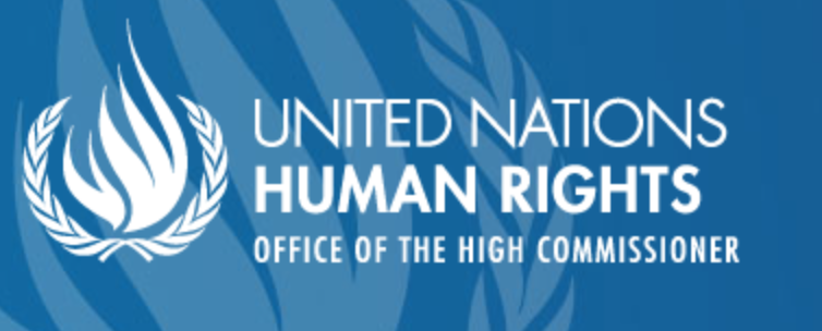 GriffithsH_'s tweet photo. OHCHR | #UN Child Rights Committee rules that countries bear cross-border responsibility for harmful impact of climate change https://t.co/BoIDEcCr7S #childrights #climatechange https://t.co/NRo3ukoWiN
