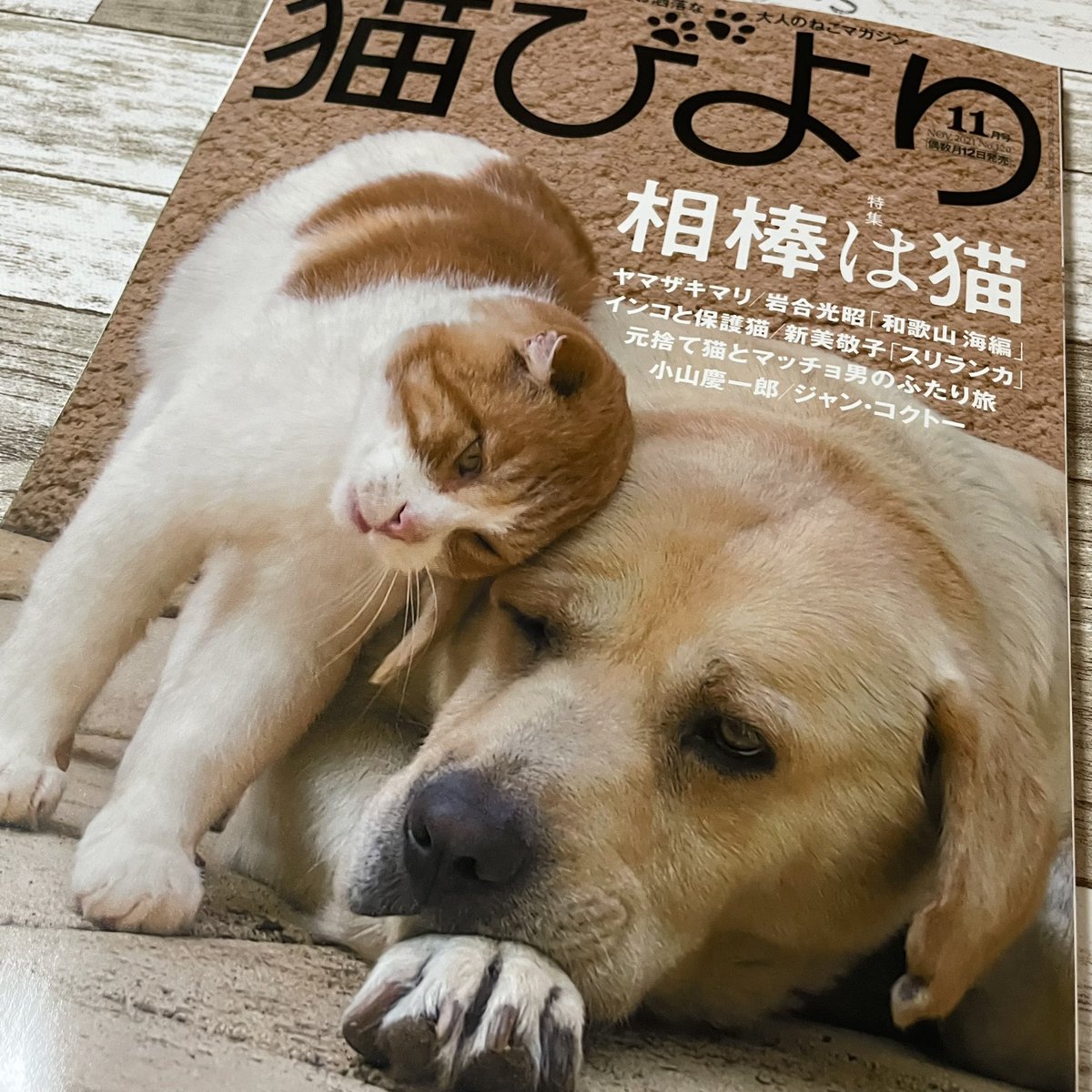 小山慶一郎 画像 最新情報まとめ みんなの評判 評価が見れる ナウティスモーション 8ページ目
