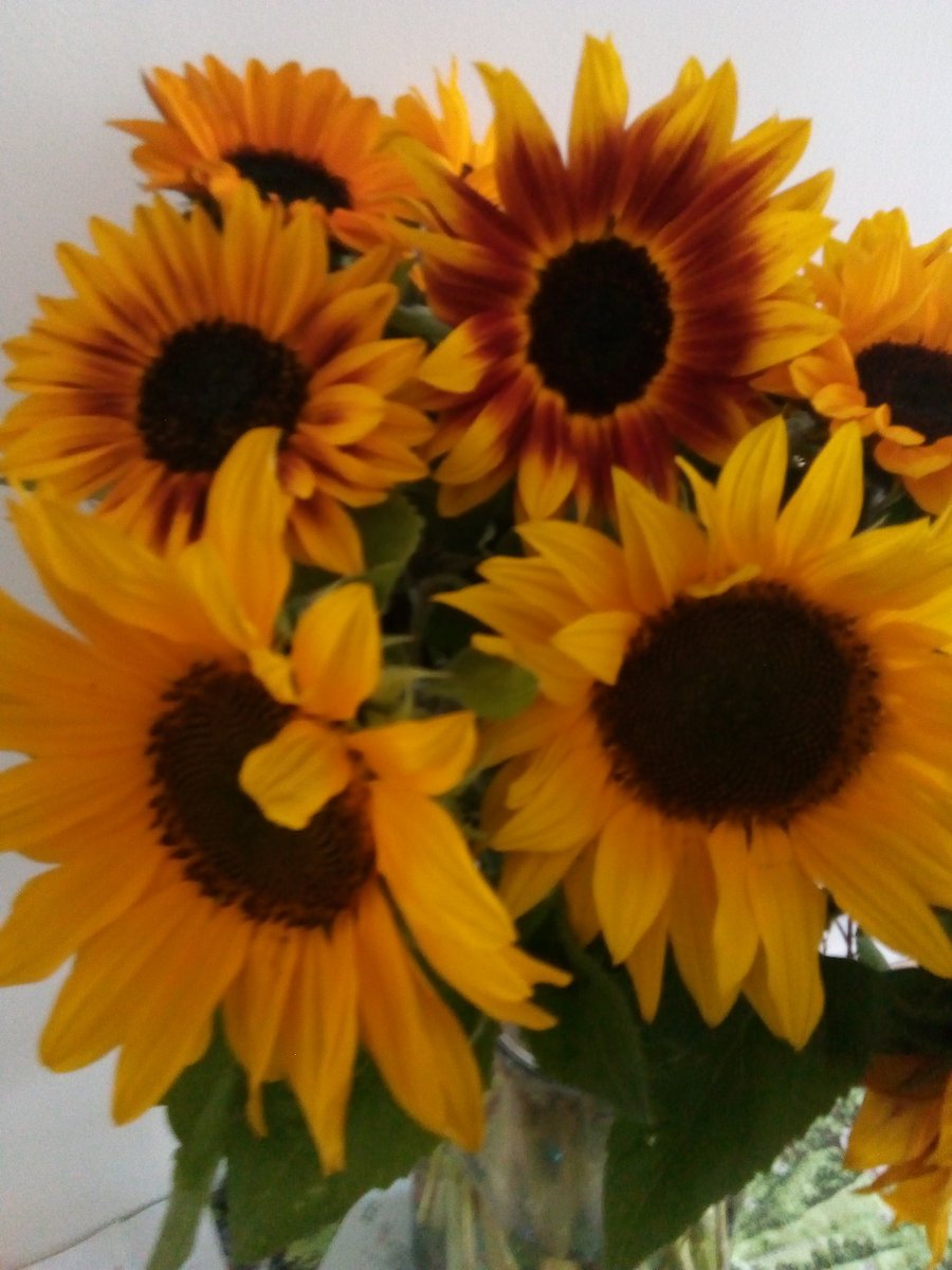 Lori Reich tweet media