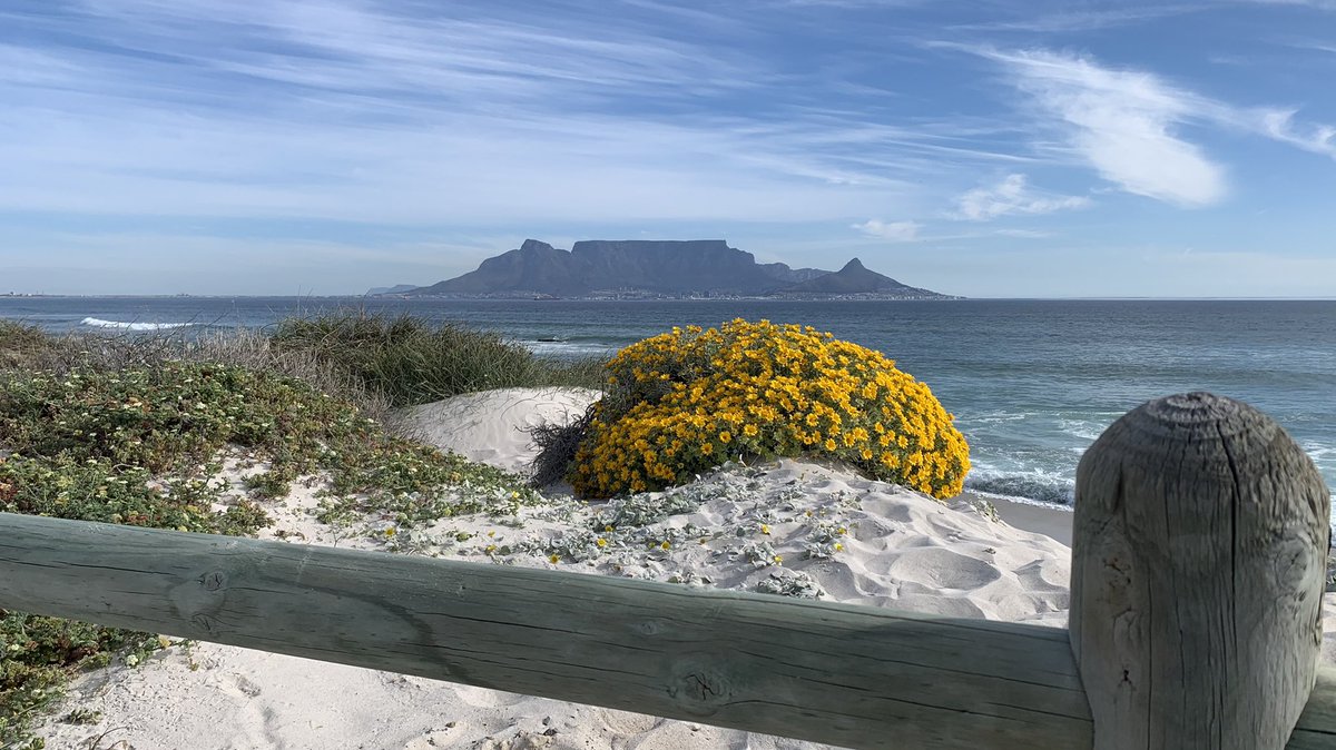 First time on the beach in a long time!! What a beautiful view and an amazing time. Life is so crazy right now it’s so important to take time to be grateful. Have a great day all!
