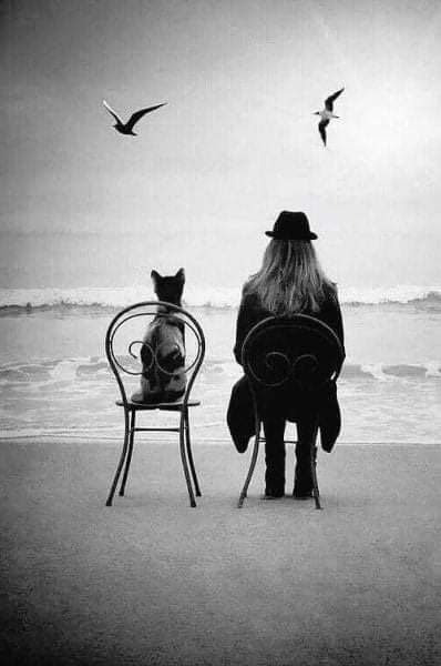 "Olvidemos con generosidad a aquellos que no pueden amarnos".
Pablo Neruda
Vía <a href="/OlgaLosad/">Olga Losada</a>