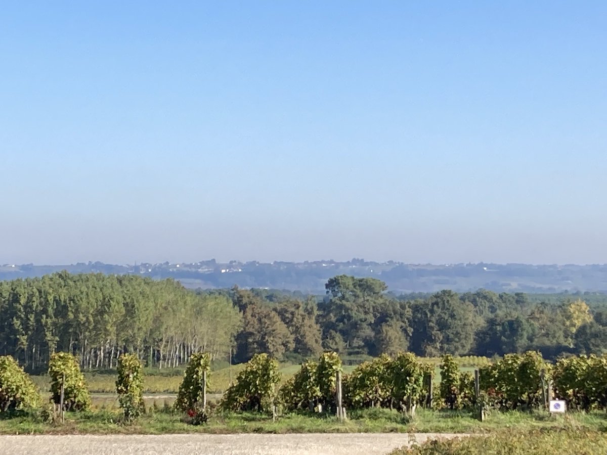 janeansonwine's tweet photo. #Rieussec looking stunning this morning. Plenty of grapes still on the vines here getting the best of the late season sun. https://t.co/FzbncZl9MU