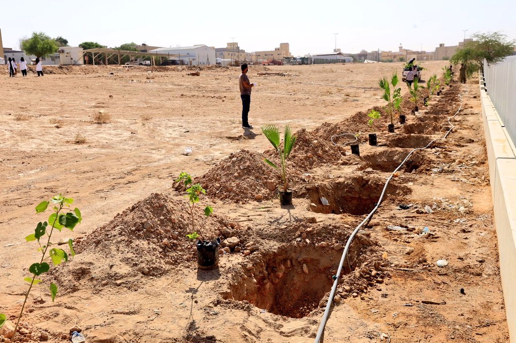 AlKharjHospital's tweet photo. 🌱✨ https://t.co/jEVxRin9le