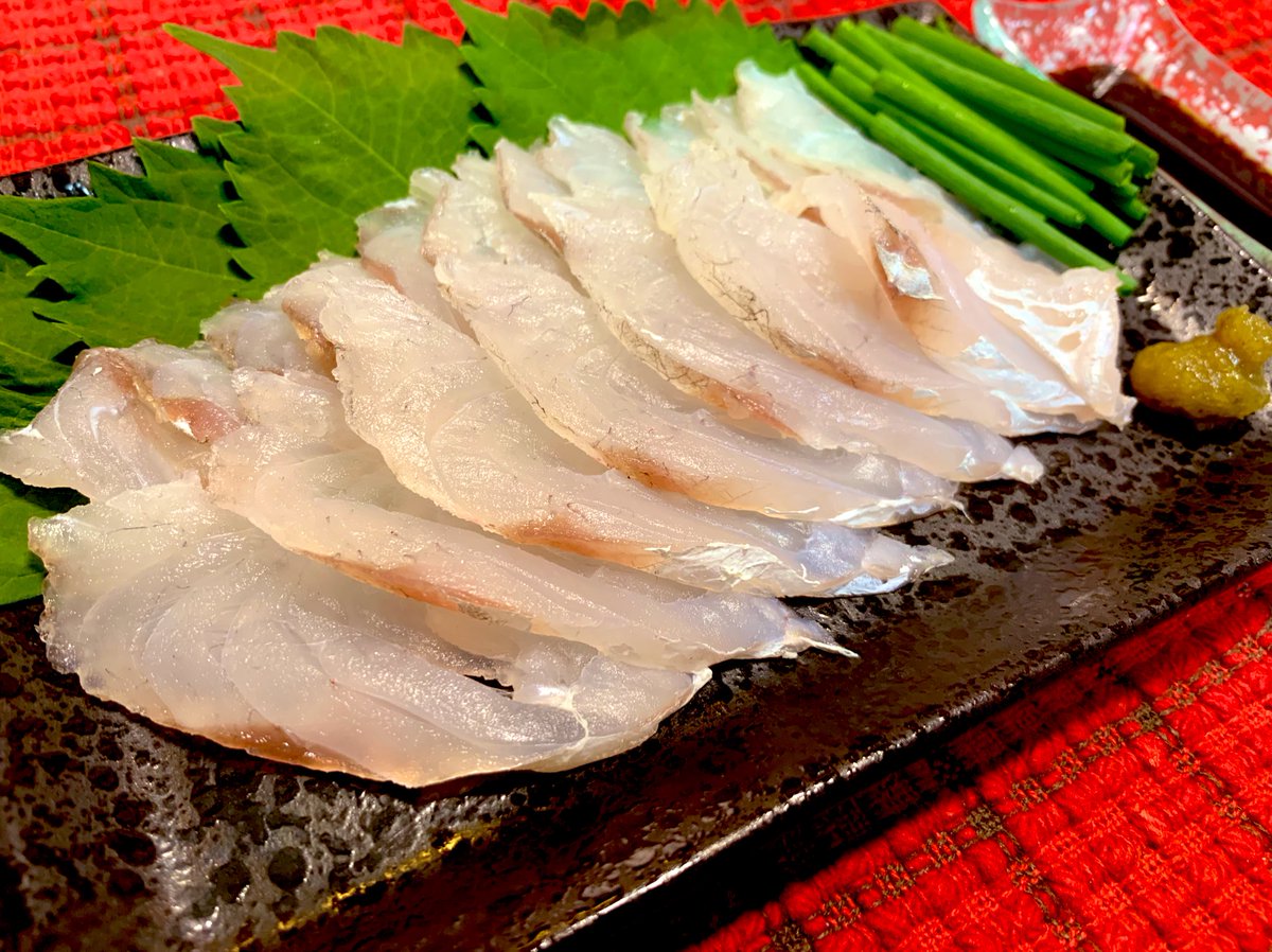 ふをん マゴチ刺身 美味しい ふをん マゴチ刺身 美味しい