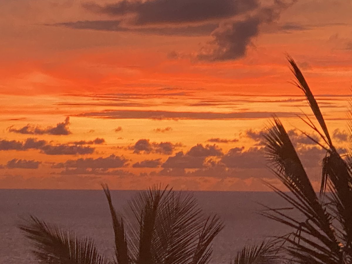 russellcrowe's tweet photo. Go and look at Phuket. I’m sure the rest of the country has amazing experiences to share too, but at this point I think Sandbox Quarantine for vaccinated travelers only applies to Phuket. https://t.co/di1YF5y7XL