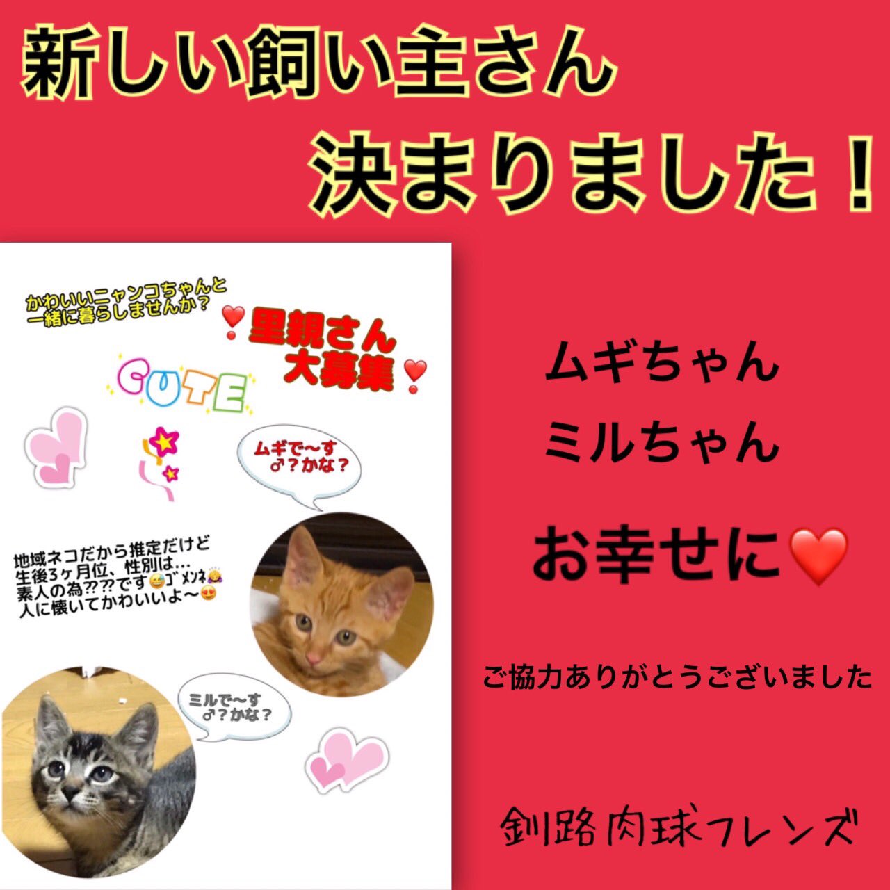 動物愛護団体 啓発 釧路肉球フレンズ 里親募集をしていた仔猫ちゃんは新しい飼い主さんとの幸せバトンが繋がりました 皆さまご協力ありがとうございます 釧路 釧路肉球フレンズ 里親募集 幸せバトン T Co Pxdwa9xocm Twitter