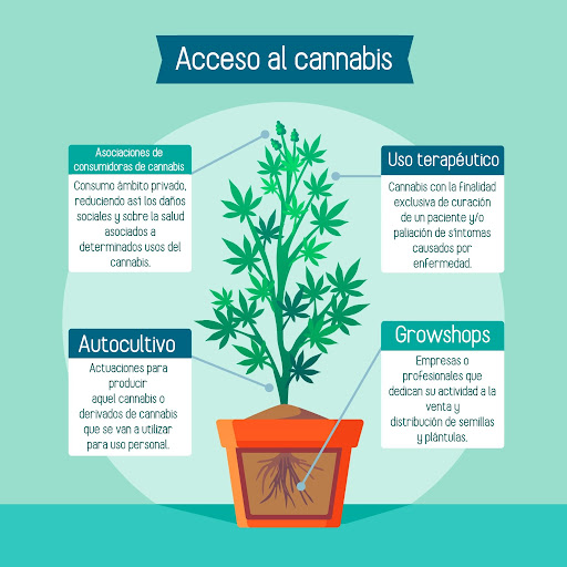 ✅Acceso seguro al Cannabis: 

👇🏾👇🏾Abrimos hilo:👇🏾👇🏾

1⃣🌱«Autocultivo»: las actuaciones necesarias que se llevan a cabo para producir aquel cannabis o derivados de cannabis que se van a utilizar para uso personal.