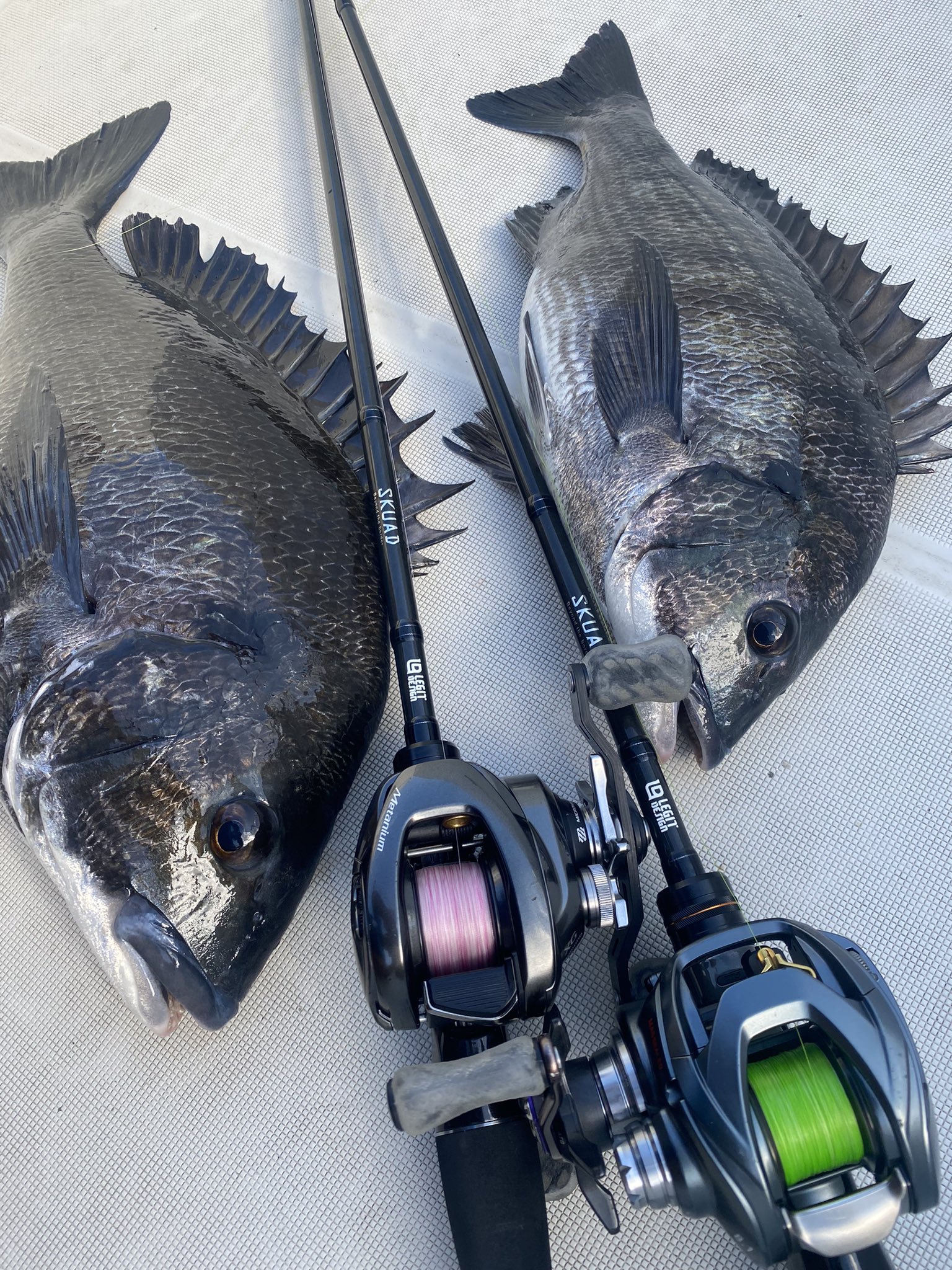 SKUAD チニングロッド レジットデザイン SKUAD：チニング | LEGIT DESIGN