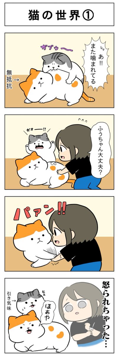猫の世界│フェリシモ猫部  https://t.co/aMdpxsDO25 @felissimonekobuより 