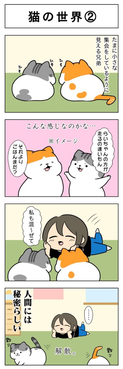 猫の世界│フェリシモ猫部  https://t.co/aMdpxsDO25 @felissimonekobuより 