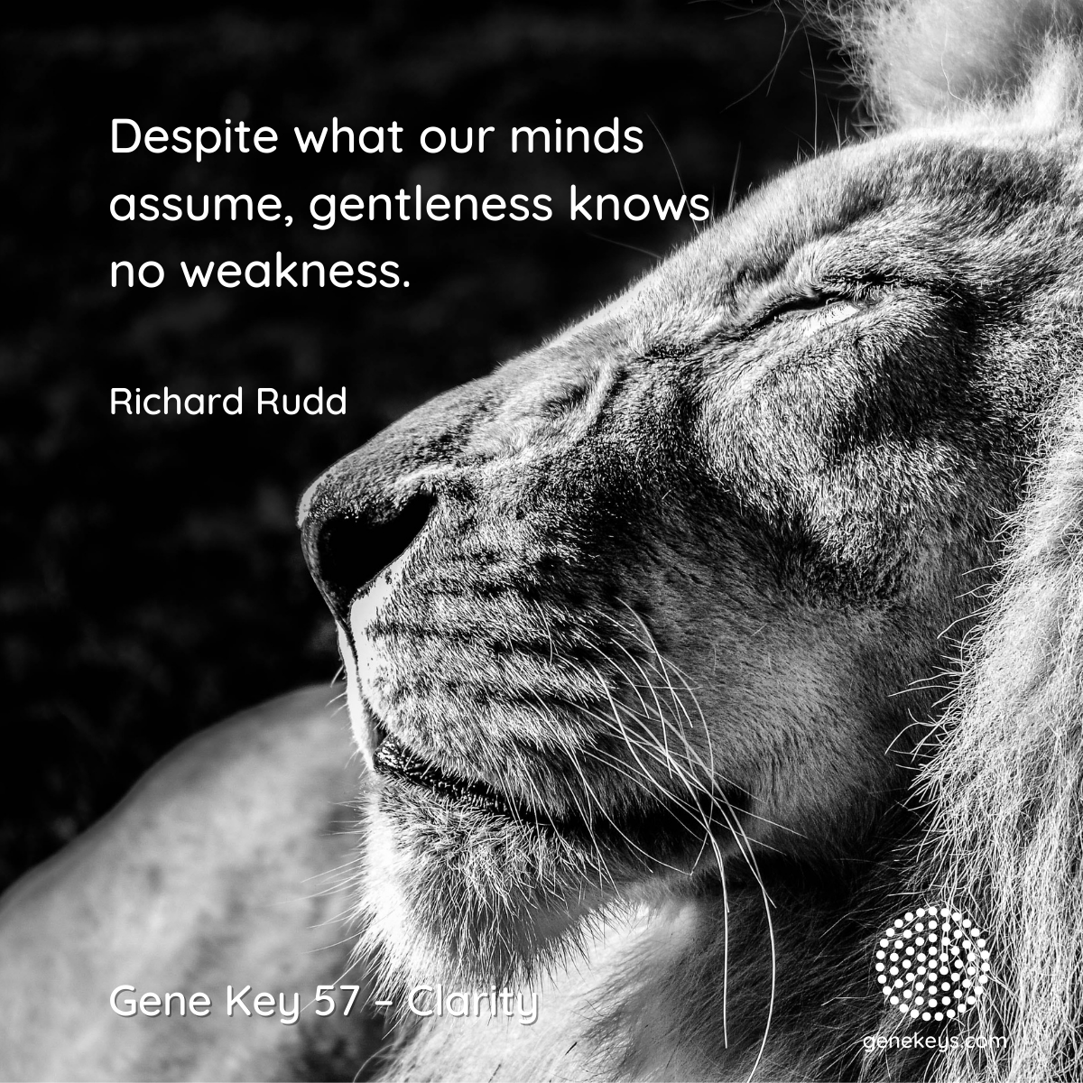 gene_keys's tweet photo. The Pulse – 8 Oct to 13 Oct – The 57th Gene Key moves from the Shadow of Unease to the Siddhi of Clarity and it is the Way of Intuition
For more about the Gene Keys visit and subscribe to The Pulse at https://t.co/Dviu0apuuY
#genekeys #genekey57 #clarity https://t.co/4xM0Aw74TT