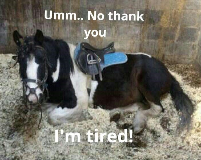 Wormers-Direct tweet media