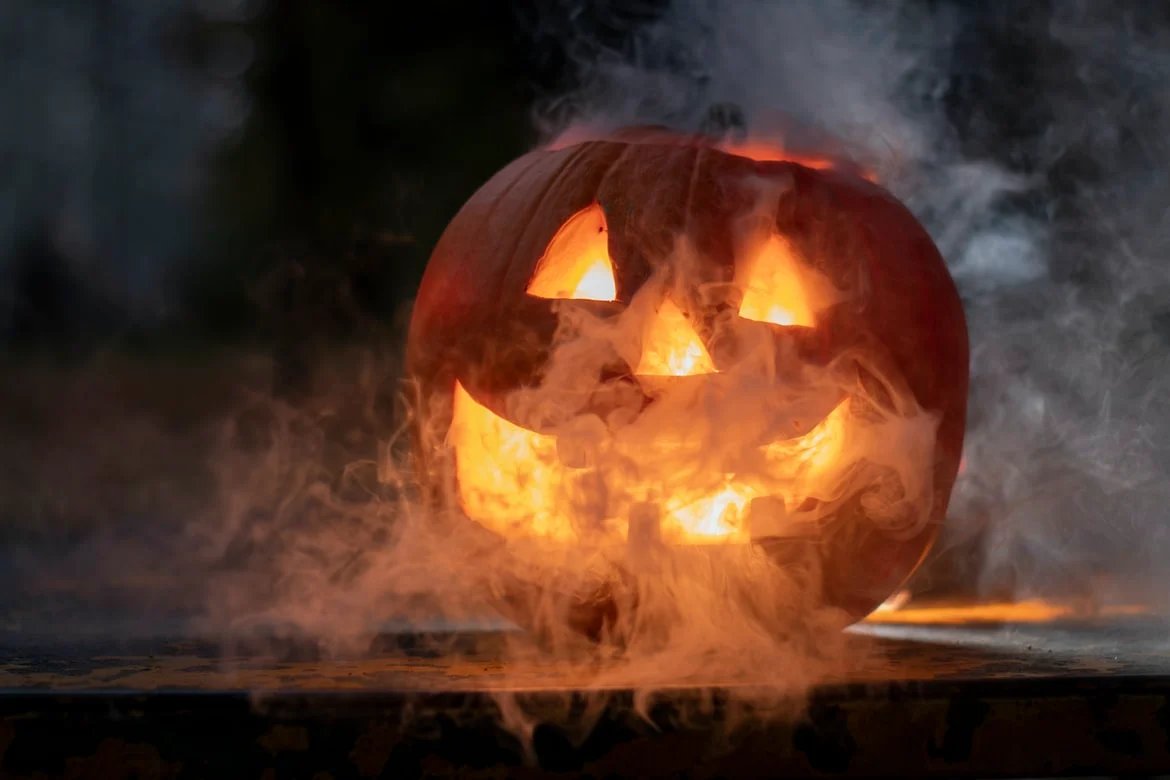 TradeTracker_PT's tweet photo. Buh! O dia das Bruxas está a chegar! https://t.co/bAZHfI9Pi6 

#Halloween #PerformanceMarketing #MarketingDeAfiliados https://t.co/av1ZXkQERh