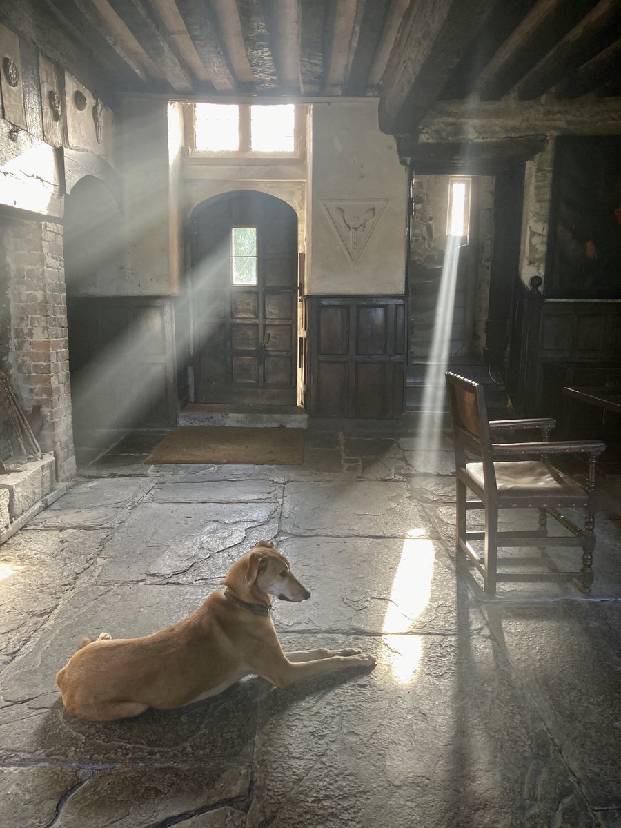 JudyCorbett's tweet photo. We've been looking after Gwydir now for nearly 27 years: restoring it and tending to its every need. And every day, in return, it gives us something beautiful. Today is no exception. This light show a moment ago just took my breath away. https://t.co/gpcVsM5d6D