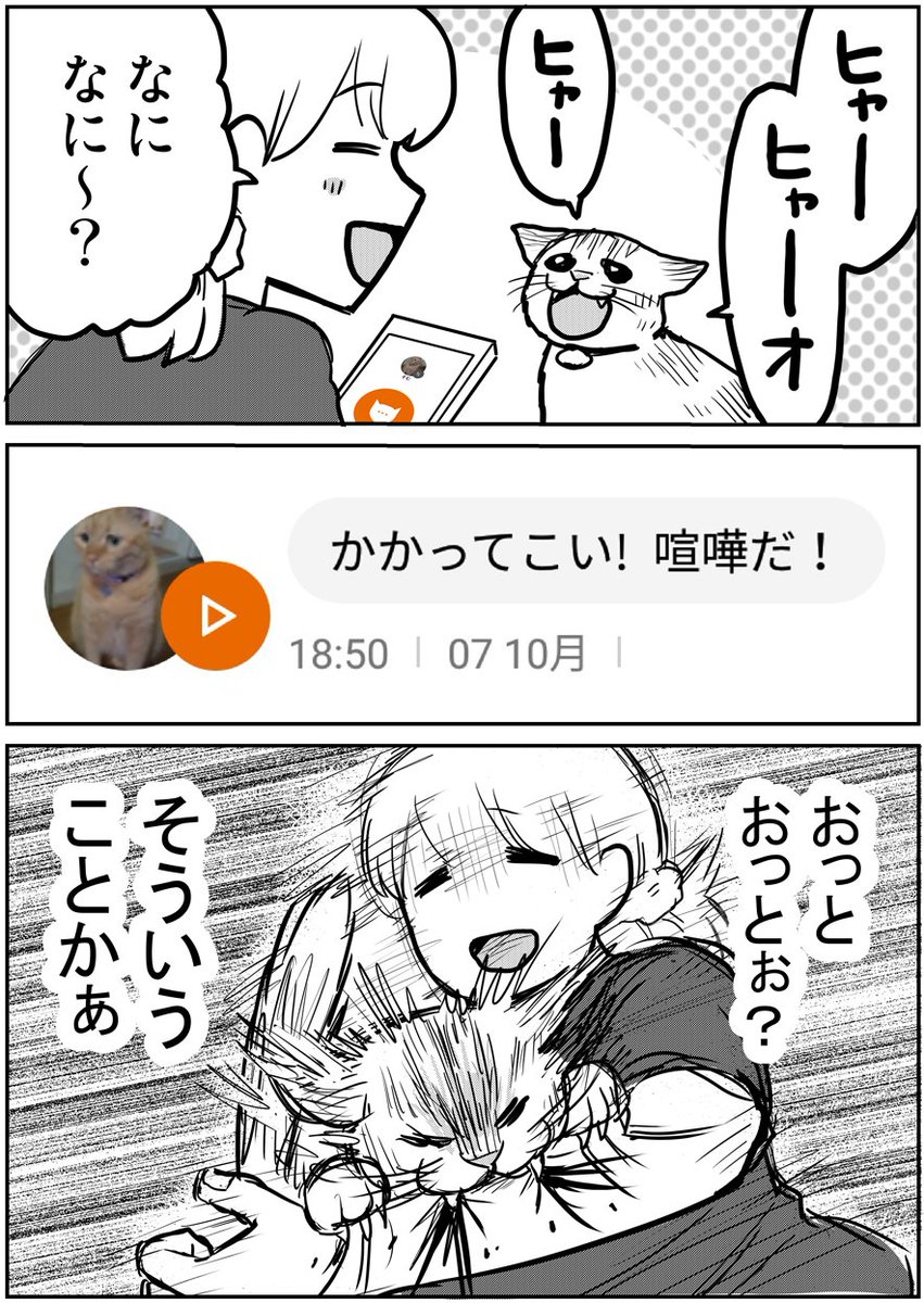 そむちゃんにニャントーク 