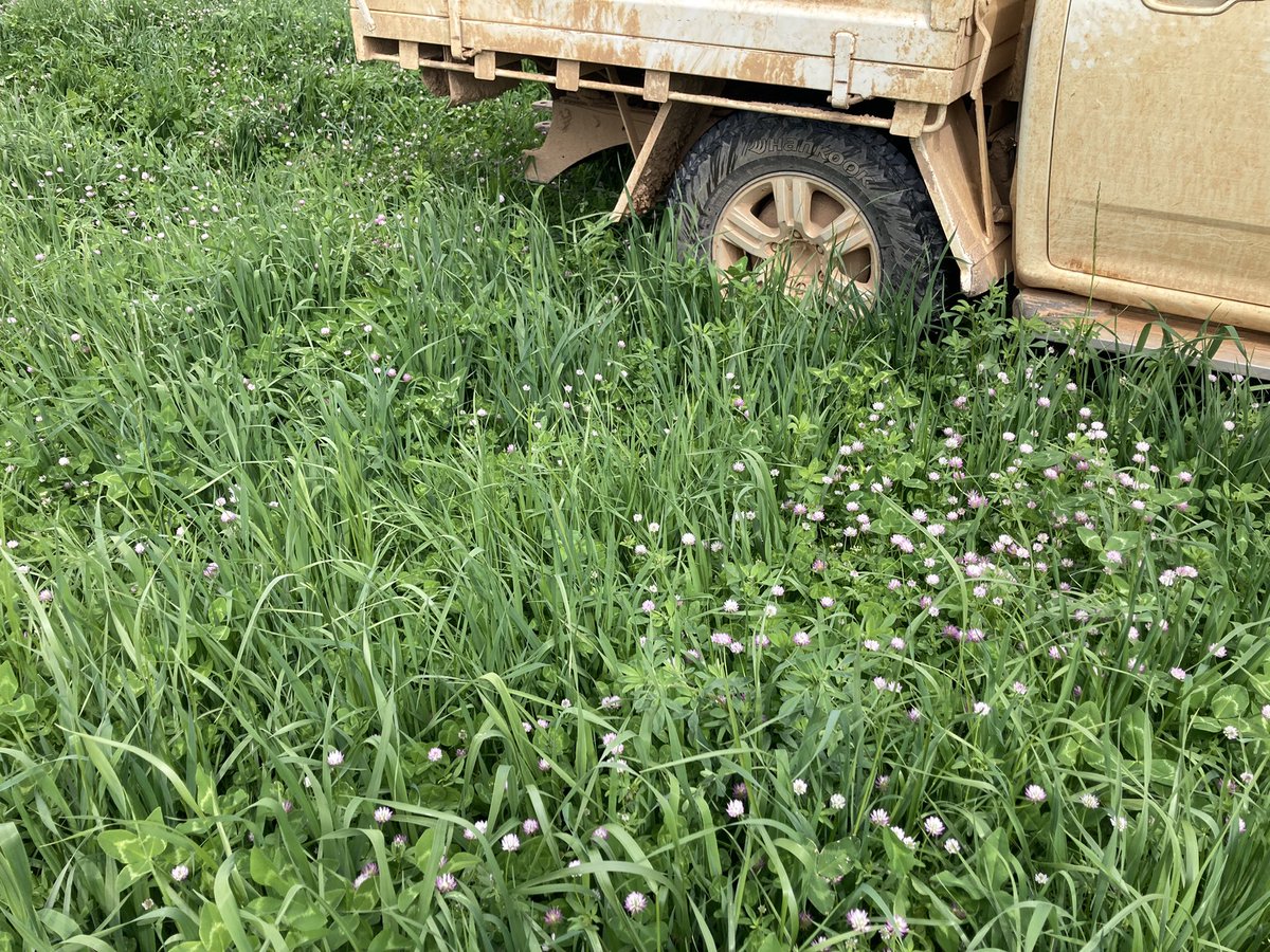 Lawrence Balcomb tweet media