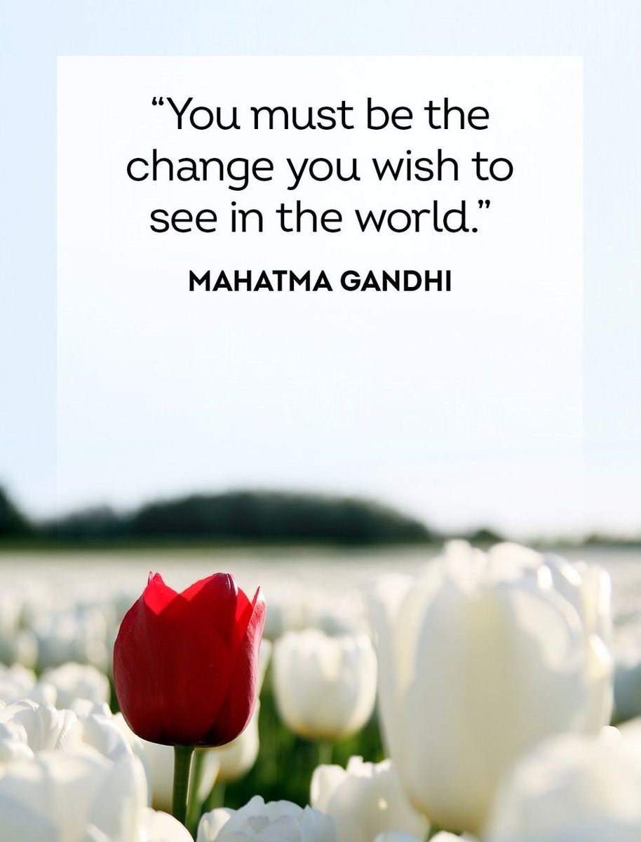 m4j3l's tweet photo. You must be the change you wish to see in the world.

CHIMANDA GoodVibesBack https://t.co/9HDngUKeem