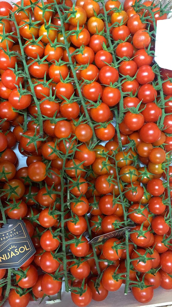 NaturaFirst's tweet photo. Cherry Vine🍅, Red Chillies 🌶️and Padron Peppers ✅arrived 🚚with us! Place your order 🗒️and enjoy as much as we do!🤩😋 #NicolasGarden #Chillicious #Pepperfectness https://t.co/sfpHm4u044
