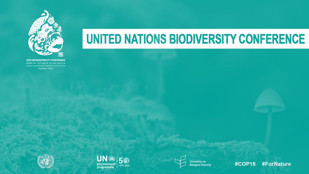 pontimari's tweet photo. We face unprecedented and interconnected crises: #biodiversity loss, #ClimateChange &amp; other critical threats. To protect people &amp; planet, the world must commit to acting #ForNature at #COP15, to be held in two parts in October 2021 &amp; spring 2022. Join at ➡️https://t.co/NhVohRGE8b https://t.co/cbpBN3jRlT