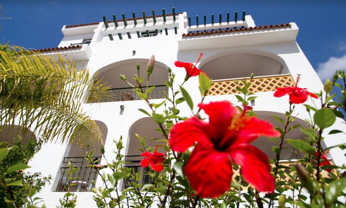 Viviana Segade tweet media