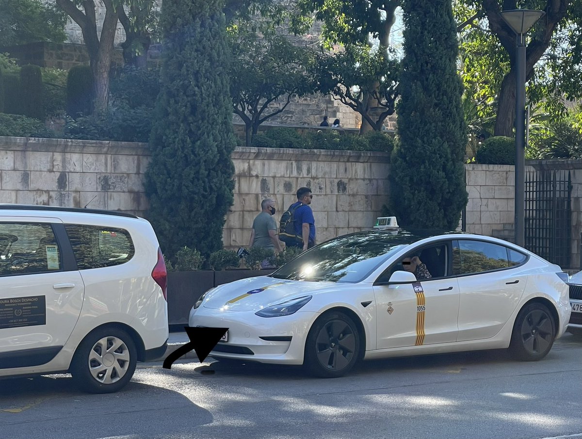 Tesla Taxi in Palma de Mallorca 🚖