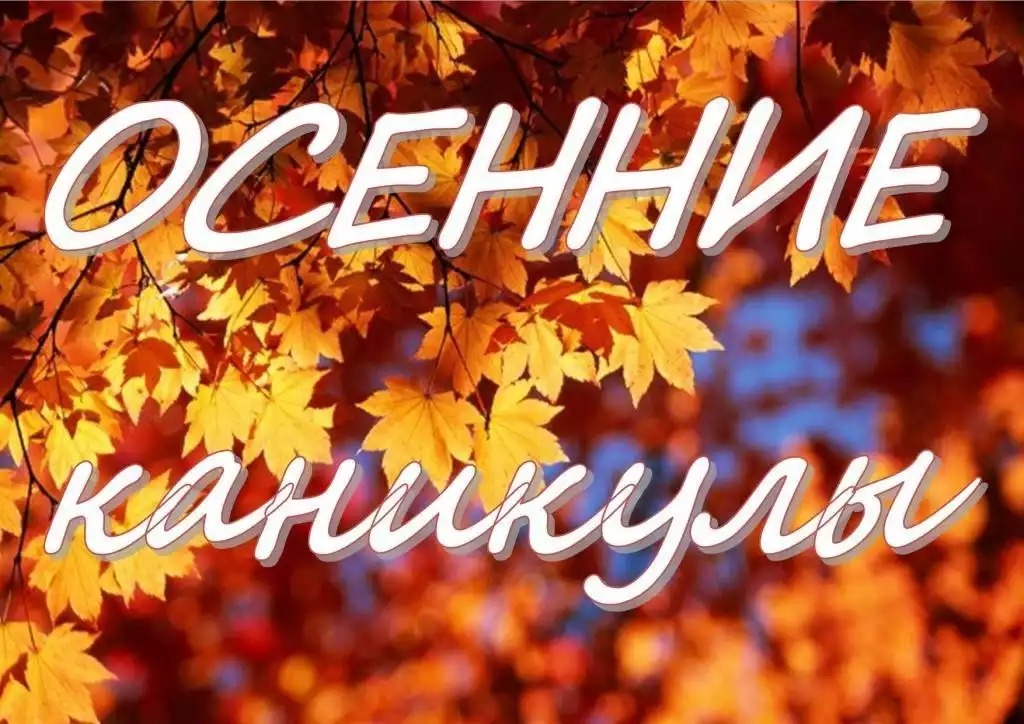 Онлайн экскурсии, турниры и конкурсы ждут ульяновских школьников на осенних каникулах

С 11 по 15 октября в школах города организованы первые осенние каникулы.

В связи со сложной эпидемиологической ситуацией отдых для детей организован преимущественно в онлайн формате.