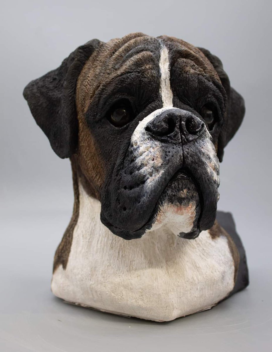 Geovanicboxers's tweet photo. Geovanic Bunny Dazzler aka Pigeon. This is only one head of five that will make up one solid sculpture piece. Louise Jarvis is the super talented artist/sculptor. Take a look at her work, she does commissions WORLDWIDE ❤️ https://t.co/XWqkPBbJur #art #DogsofTwittter https://t.co/SVPrdMvjNC