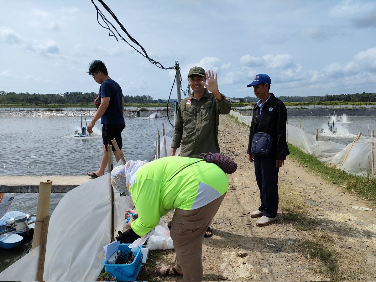 didi_sumedang's tweet photo. Senin(11/10) Didi,luhkan pandeglang mendampingi lp2il serang di kec sukaresmi dan panimbang monitoring penyakit udang vaname dan kualitas air tambak
#GiatLuhkanSatminkalbogor
#aktivitas
#pandeglang @brsdm_kp @puslatluhkp @dirjen psdkp @risluhkan bogor https://t.co/Imjs4ILSTE