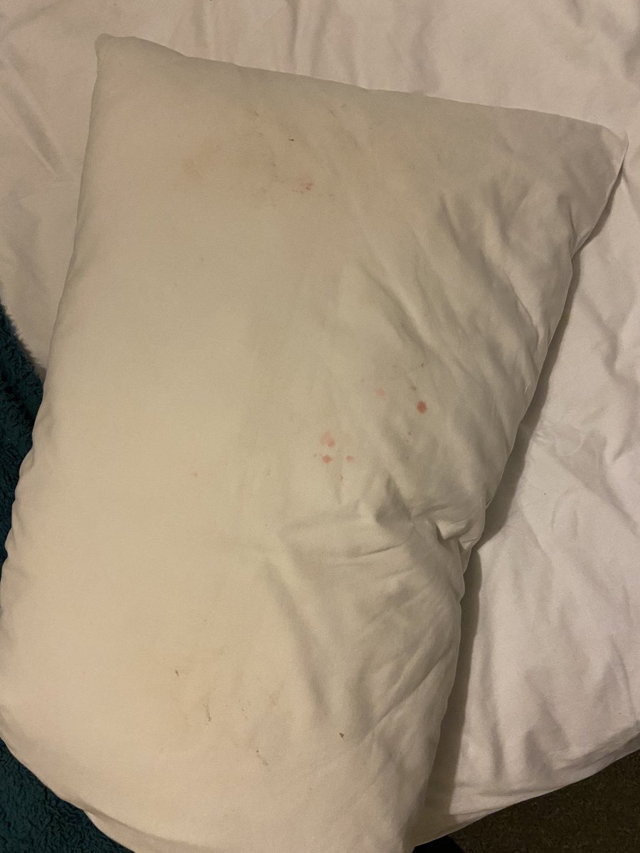 kevinod09's tweet photo. When you turn up to the ‘luxury two bedroom apartment’ you booked on @bookingcom and this is what you find. @bookingcom refuse to give any refund when the apartment was clearly uninhabitable? https://t.co/5v1bHJca6o