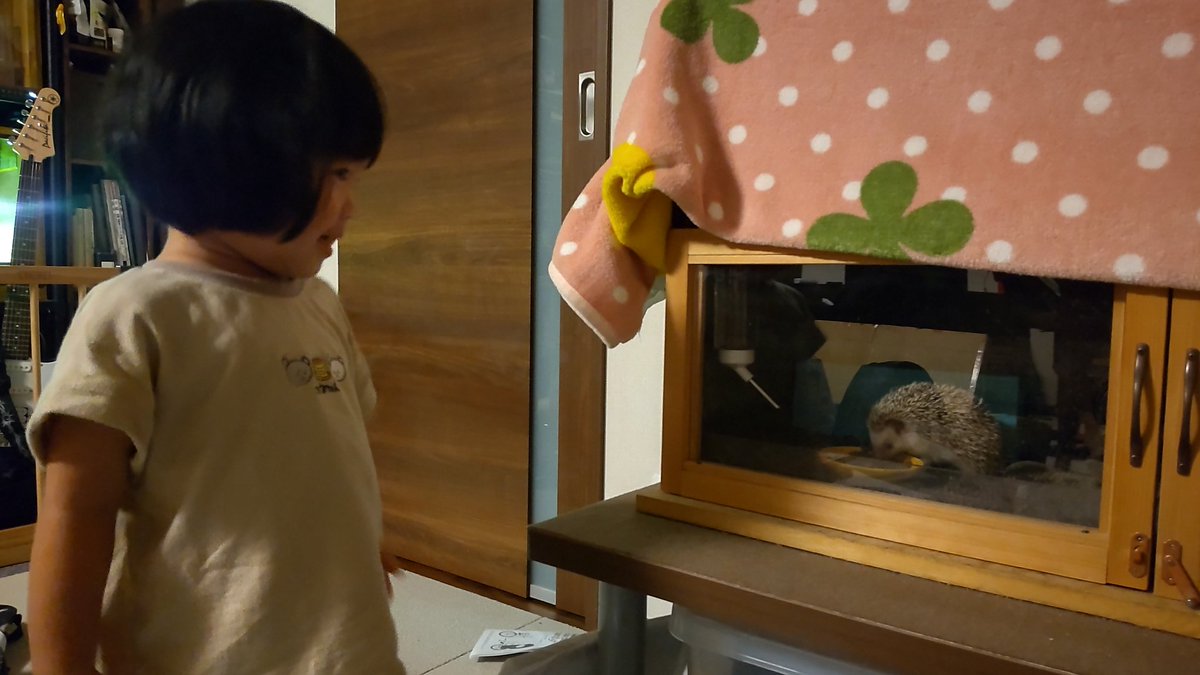 saro_ch1's tweet photo. 娘が｢むいちゃん！｣｢いいこ！いいこ！｣って言ってアクリル板なでたり取っ手つかんでもご飯食べ続けるのに私が｢今日もたくさん食べて良いですな｣って言った途端帰る安定の塩対応。今日もかわいいむいちゃんです。 https://t.co/Rk5KCgSL8Y