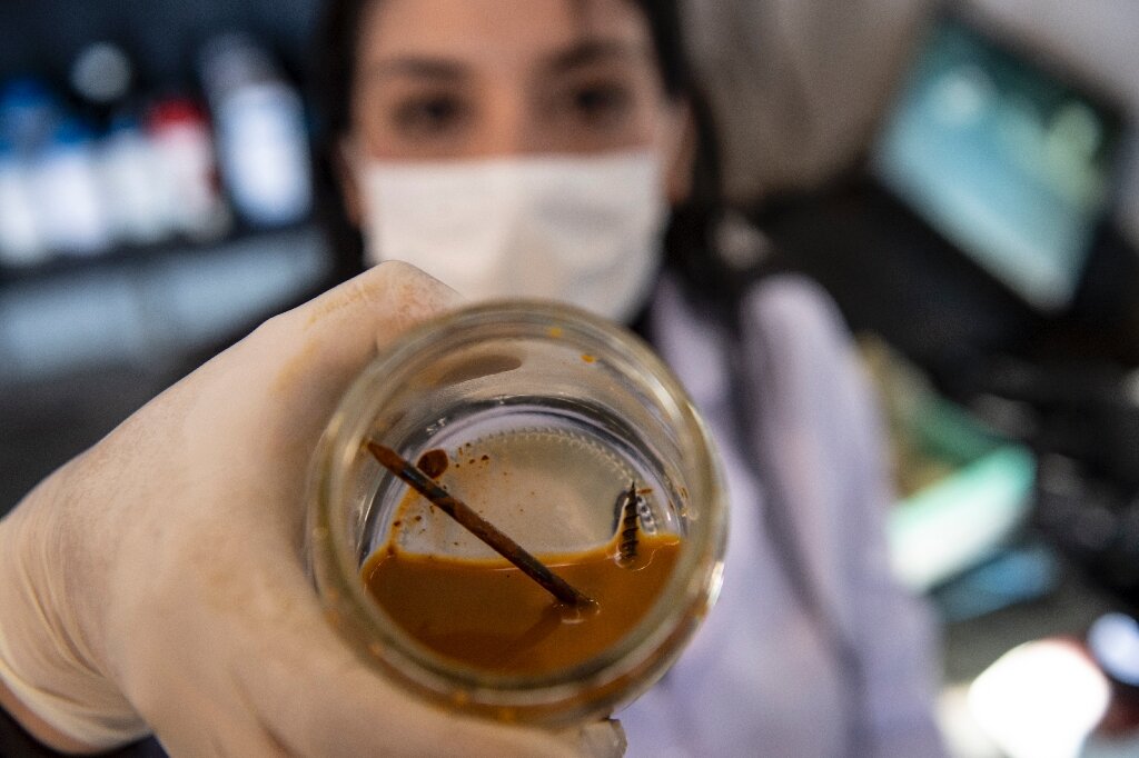 Starving microorganisms capable of surviving in extreme conditions have already managed to "eat" a nail in just 3 days. In Chile, scientist Nadac Reales hopes "metal-eating" bacteria could help clean up the country's highly-polluting mining industry: buff.ly/2YHEs3q