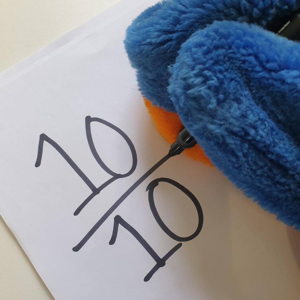 If you loved the Octopus Ahoy! trail, let us know! Share your thoughts about our project and we’ll email you an Octopus Ahoy! participation certificate as a memento of the stay-cation summer we enjoyed together in Tendring.

Click to complete the survey: bit.ly/3DiXvjf