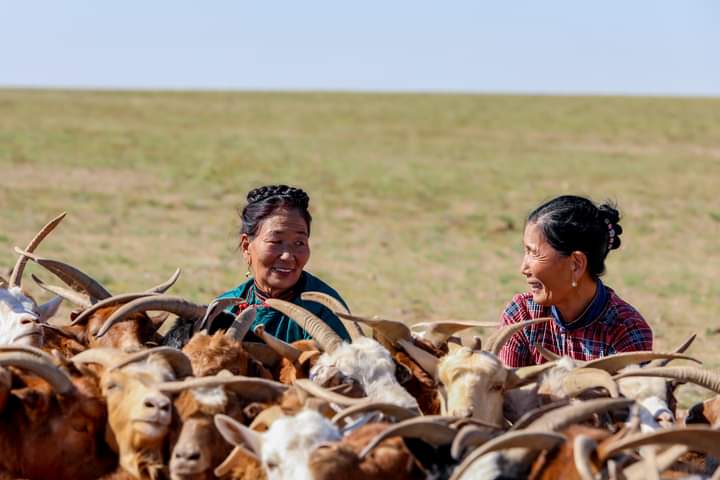 Намар нь уужуу ухааныг 
Өвөл нь эерүү өршөөнгүйг 
Хавар нь эрдүү хатуужлыг
Зун нь хүлцэл тэвчээрийг  сургадаг унасан  нутаг, тэнүүхэн ГОВЬ минь🧡
Бэр эгч нар минь