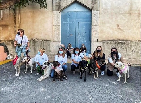 BremenMusicos's tweet photo. ✨GRACIAS ✨ 
al ayuntamiento de San Rafael del Rio que nos permitió desfilar con nuestros 10 perros en la Fira de la Tardor ayer por la tarde.
A pesar de algunos imprevistos🙈rápidamente controlados, y nervios de nuestros modelos 😊, pasamos un buen momento y todo el mundo... https://t.co/HXHdZ1hOVQ