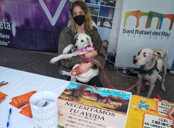 BremenMusicos's tweet photo. ✨GRACIAS ✨ 
al ayuntamiento de San Rafael del Rio que nos permitió desfilar con nuestros 10 perros en la Fira de la Tardor ayer por la tarde.
A pesar de algunos imprevistos🙈rápidamente controlados, y nervios de nuestros modelos 😊, pasamos un buen momento y todo el mundo... https://t.co/HXHdZ1hOVQ