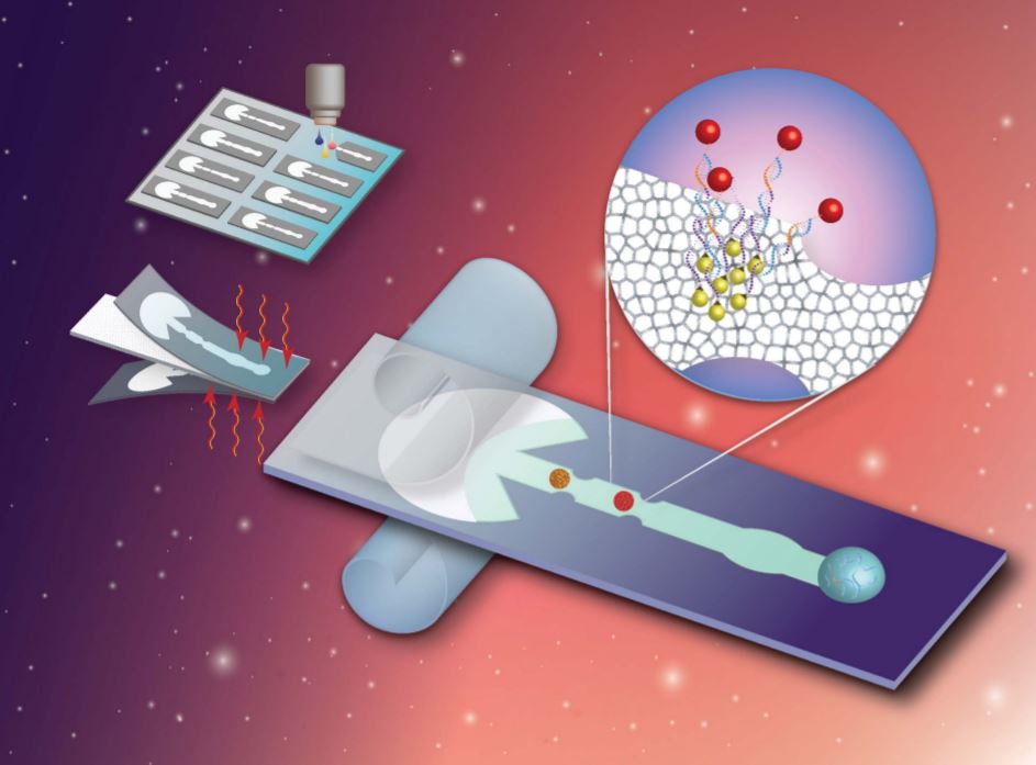 MethodsRSC's tweet photo. An #RSCMethodsCover: 'A new and high-performance microfluidic analytical device based on Fusion 5 paper for the detection of chili pepper anthracnose pathogen Colletotrichum truncatum' by Patsamon Rijiravanich & Werasak Surareungchai. Read here 👉 https://t.co/vFaFIKgNaw https://t.co/lvkbjltwob