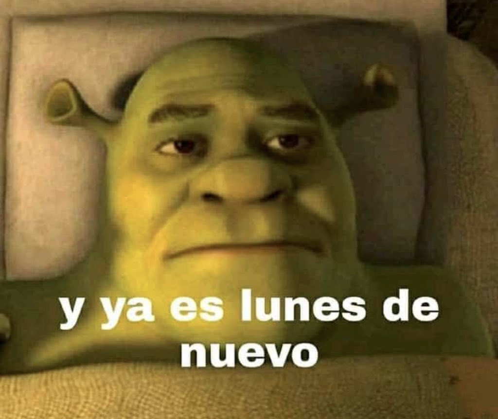 cxrrly's tweet photo. Mood https://t.co/RYLNSbTQWr