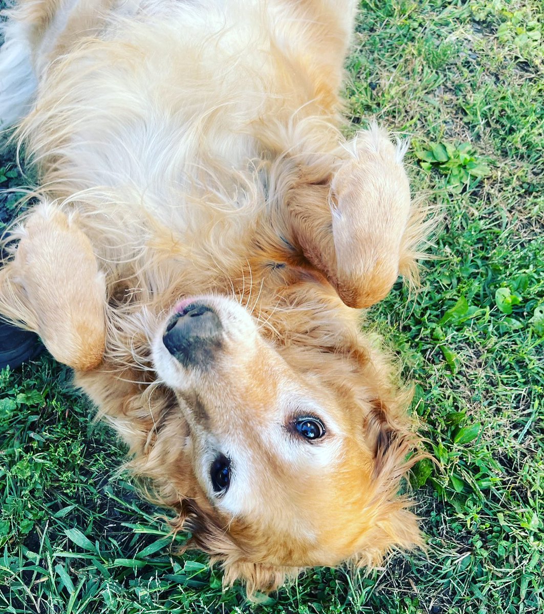 John Burtle tweet media