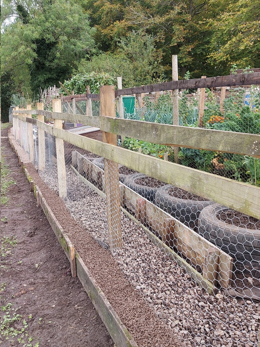 ToavesG's tweet photo. Fence project virtually complete. Just a bit more digging out inside the perimeter and paths to make.
#toaves #fencingproject #gravel paths #endofseasonjobs #2022prep https://t.co/jz4jCf7bDm