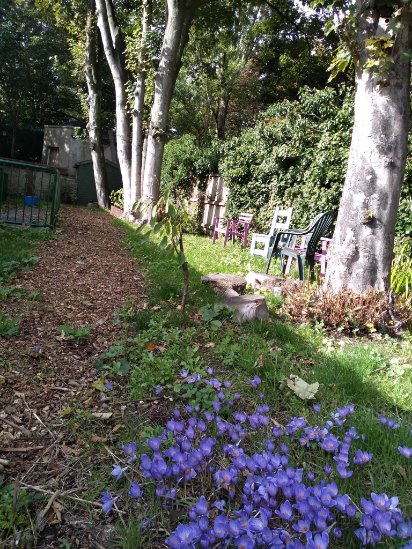 An inviting spot behind #WallingfordLibrary, squirrels too