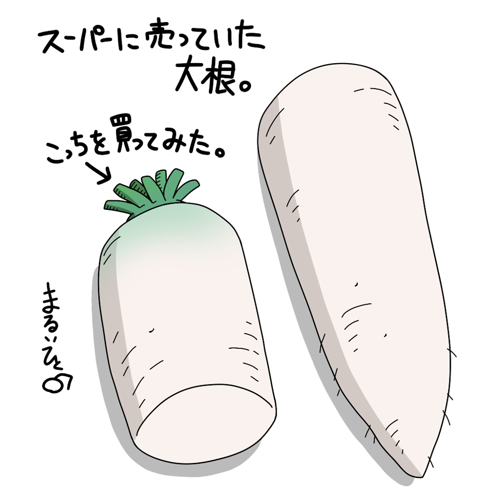 大根おろしにする大根を買いました。
前回、まるまる一本買ったら食べきるのが大変だったので今回は半分のにしました。
しばし悩んでヘタの付いている方を買いました。
何で長さが違うんだろう?ヘタの価値かな?? 