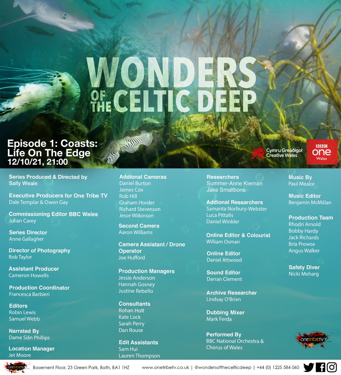 🚨Set your reminders: Wonders of the Celtic Deep - BBC One Wales at 9pm Tuesday 12th October.

🌊🐙🦞🦀🐠🐟🐬🐋🦈🦭

Don’t miss it - Dive in!  🤿

#WondersOfTheCelticDeep #WelshWaters #MarineLife #Wales #CardiganBay #MarineConservation #CBMWC