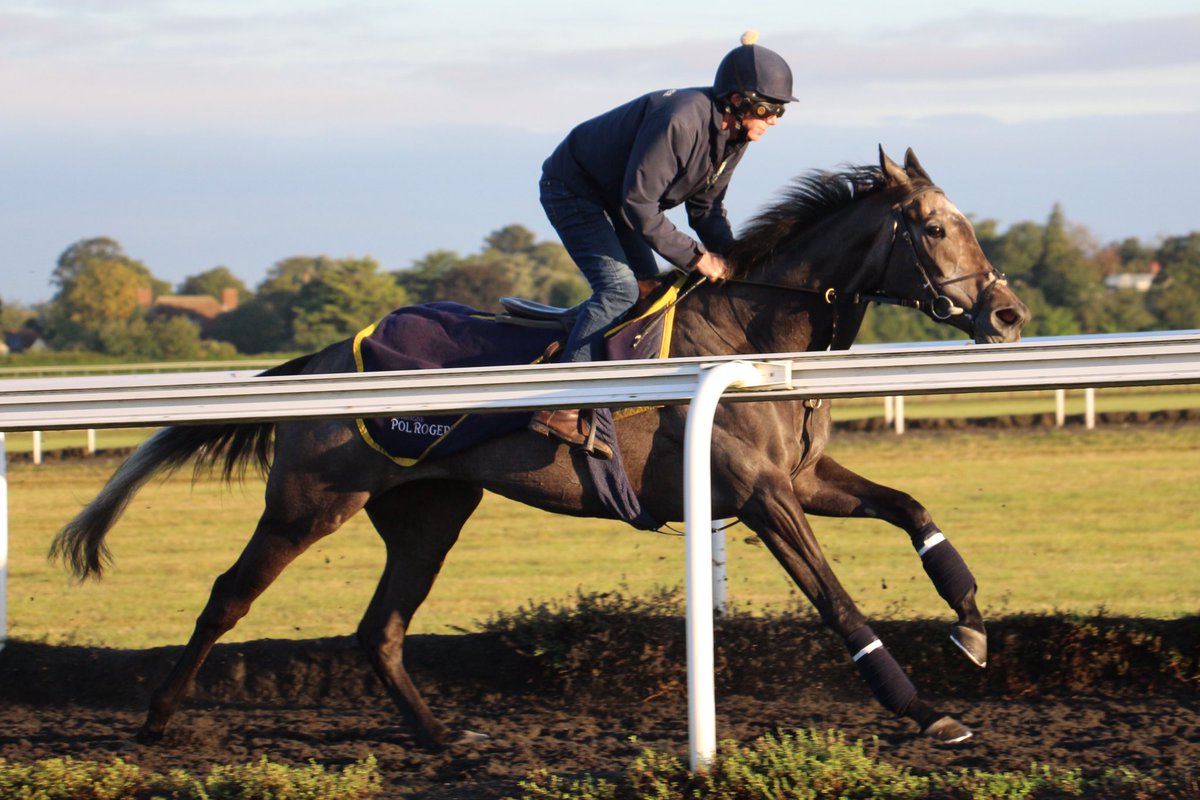 hpalmerracing's tweet photo. GOOD SOUL (Mukhadram - Royal Dalakhani) will take her place at @kemptonparkrace in the 2m Handicap at 8.30pm under @Raydawson101. Good luck to the owners of this 3yo filly, Kremlin Cottage IX.
@philippamains @rob_speers @spenlar @ShadwellStud #mukhadram #poweredbypolroger https://t.co/t1smtag6lL