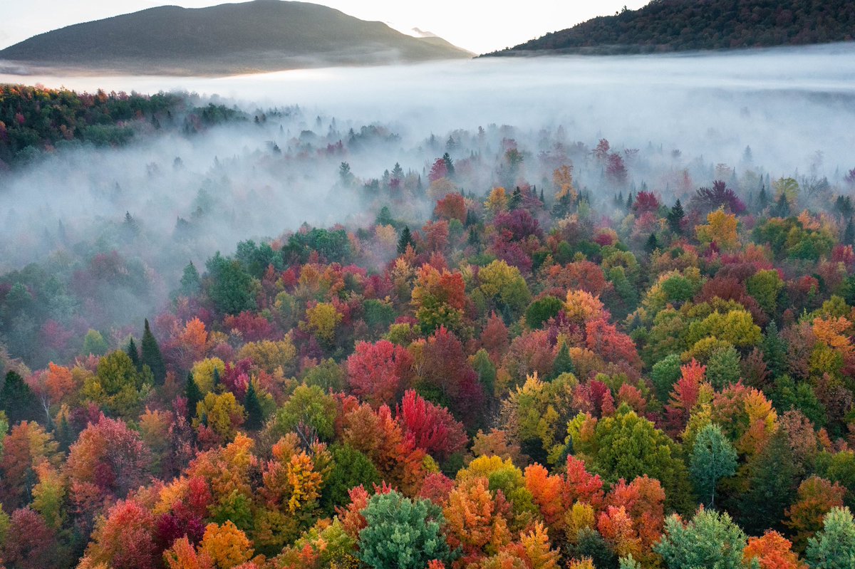 Early morning fog pouring into peak fall foliage in Rangeley, Maine. #photography <a href="/mainefoliage/">Maine Fall Foliage</a> #AutumnVibes