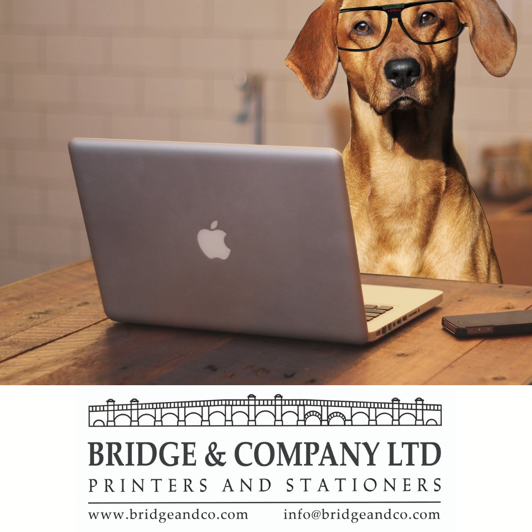 BridgePrint's tweet photo. Here at Bridge and Company, we have a dogged determination to give our Customers the best possible service.
We would love to help you with your next Print Project.
Have a look at our Customer testimonials 
https://t.co/XrSPF2z0xH https://t.co/maKRRNtVIb