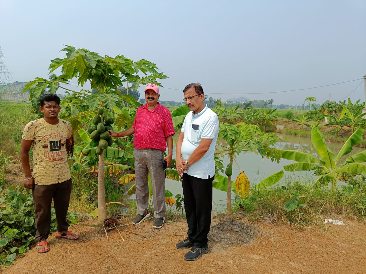 soilcons_odisha's tweet photo. Visit of Director,  Soil Consevation &amp; Watershed Development to different farmpond projects of Ganjam district on Dt. 09.10.21. https://t.co/1WsVVC2m8G
